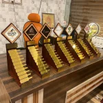 Auction set for Cricket